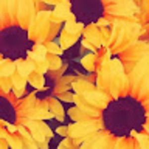 Meet your Posher, Lily marcela